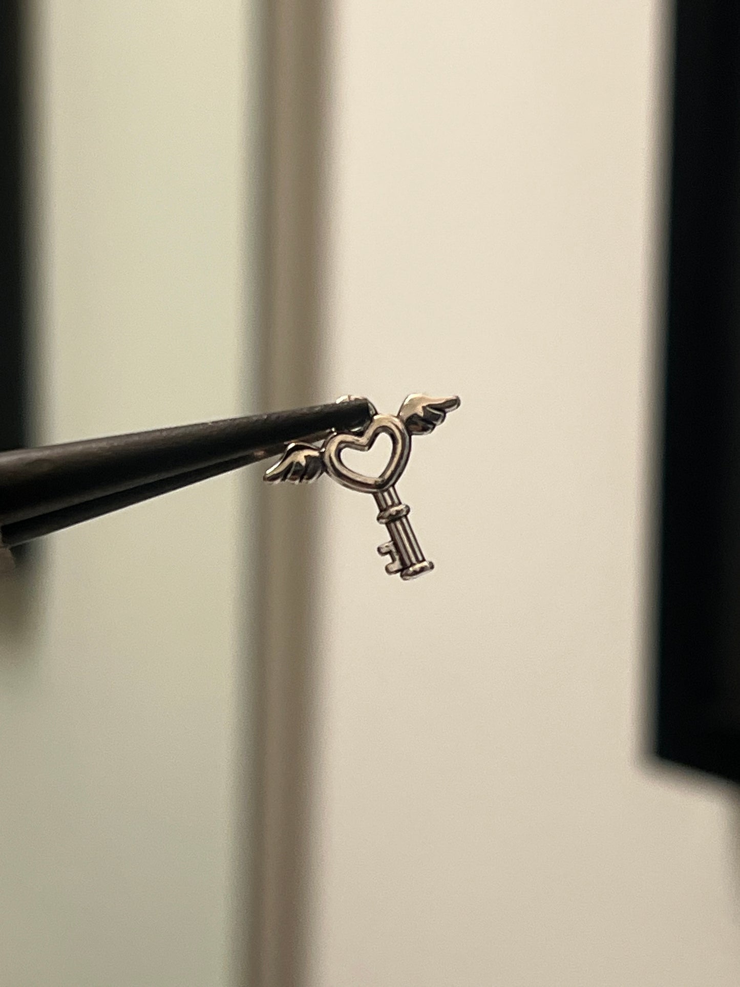 Fly away key charm